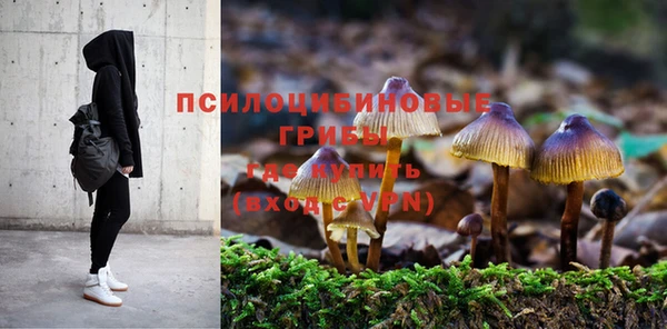 экстази Алексин