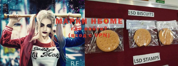 молекула духа Алзамай